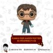 Picture of potter funko